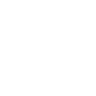 Less damage icon