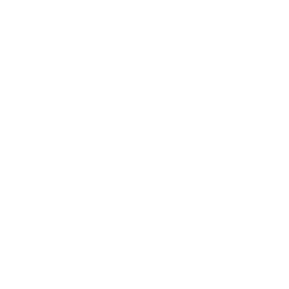 Sleek results icon